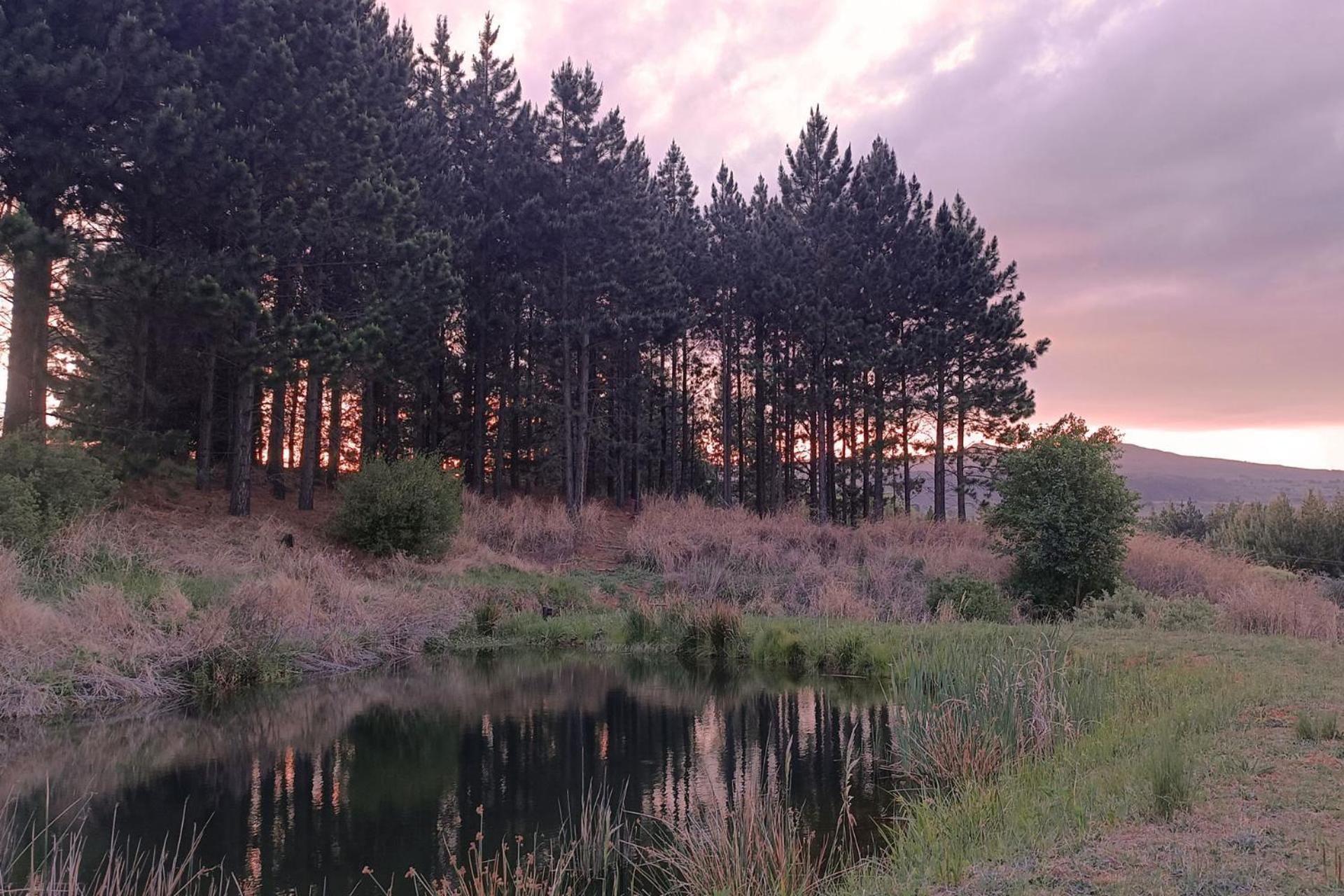 Hotel Schaefers' Halt Dullstroom Esterno foto