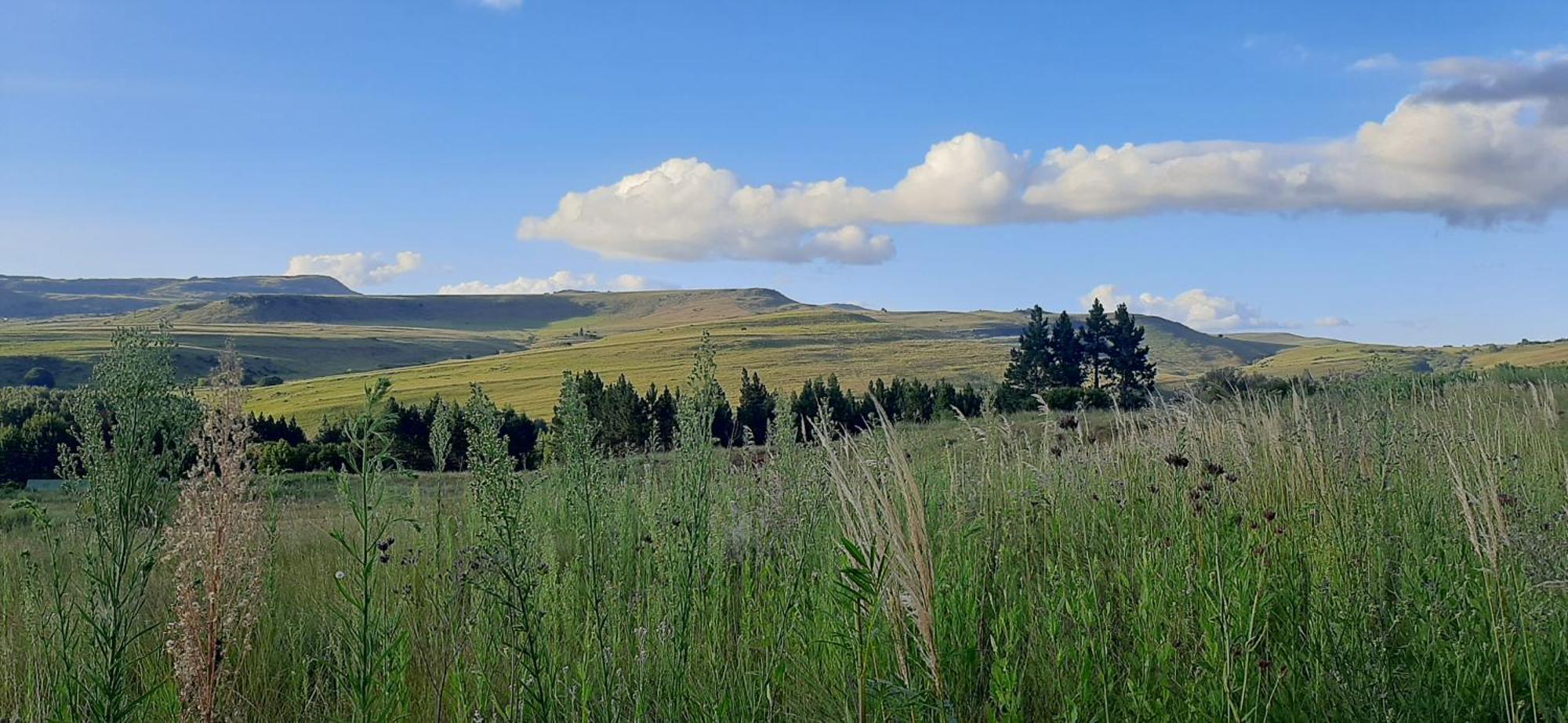 Hotel Schaefers' Halt Dullstroom Esterno foto
