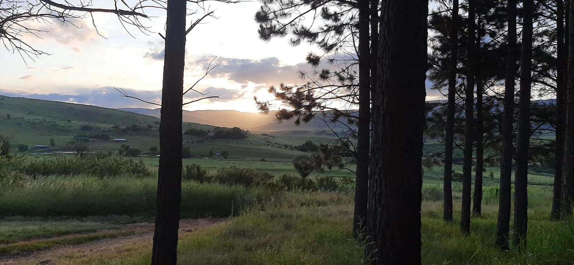 Hotel Schaefers' Halt Dullstroom Esterno foto