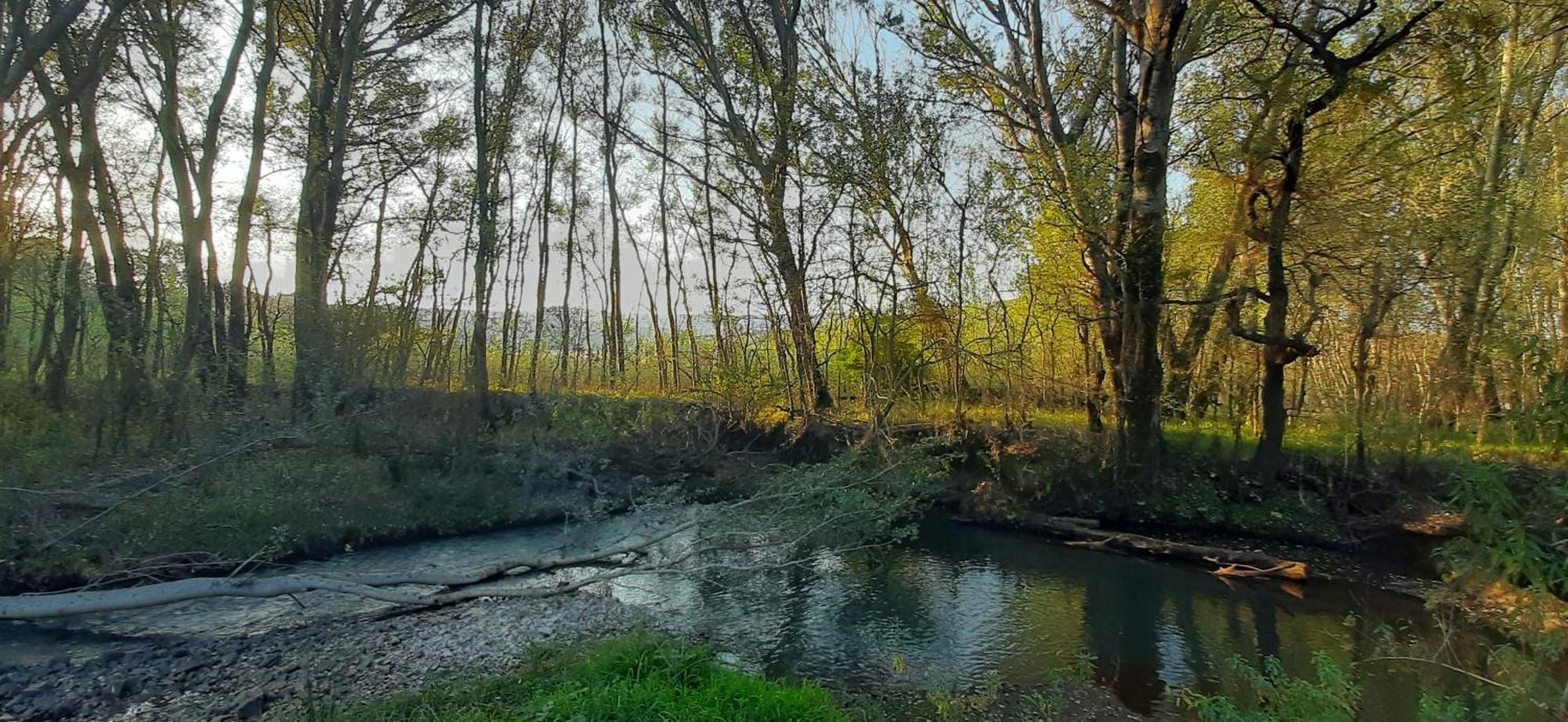 Hotel Schaefers' Halt Dullstroom Esterno foto