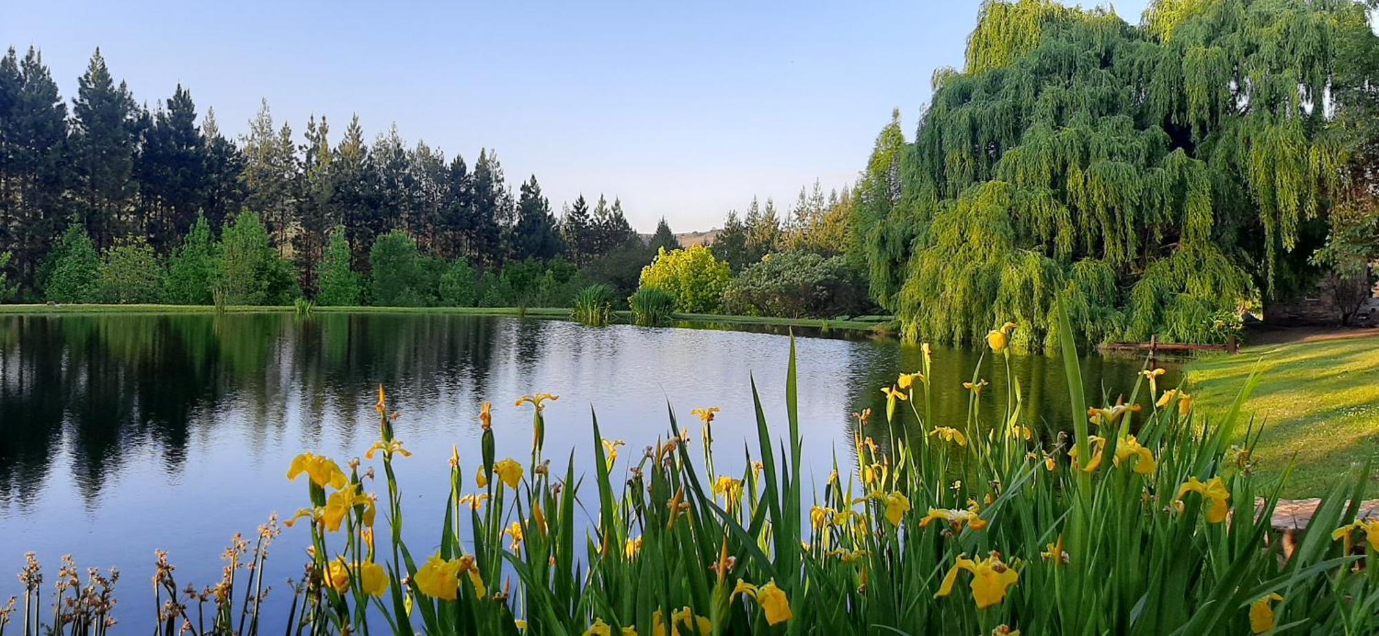 Hotel Schaefers' Halt Dullstroom Esterno foto
