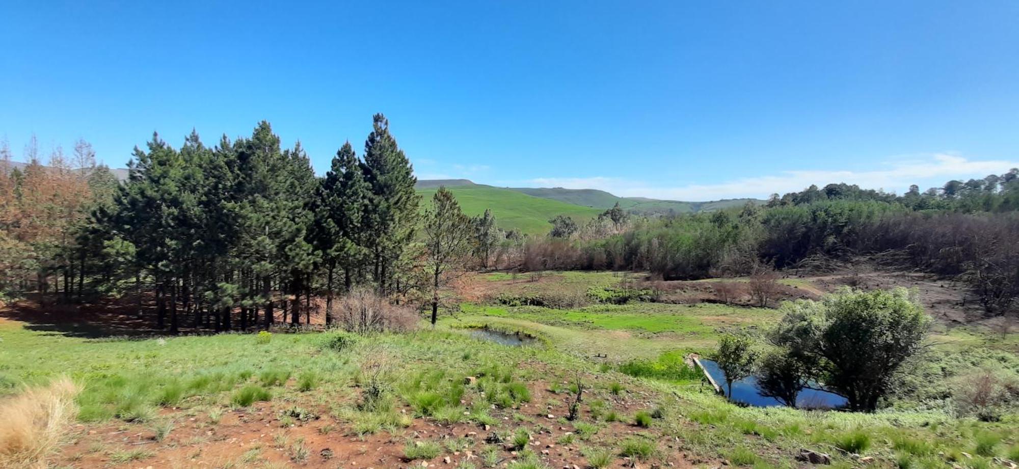 Hotel Schaefers' Halt Dullstroom Esterno foto
