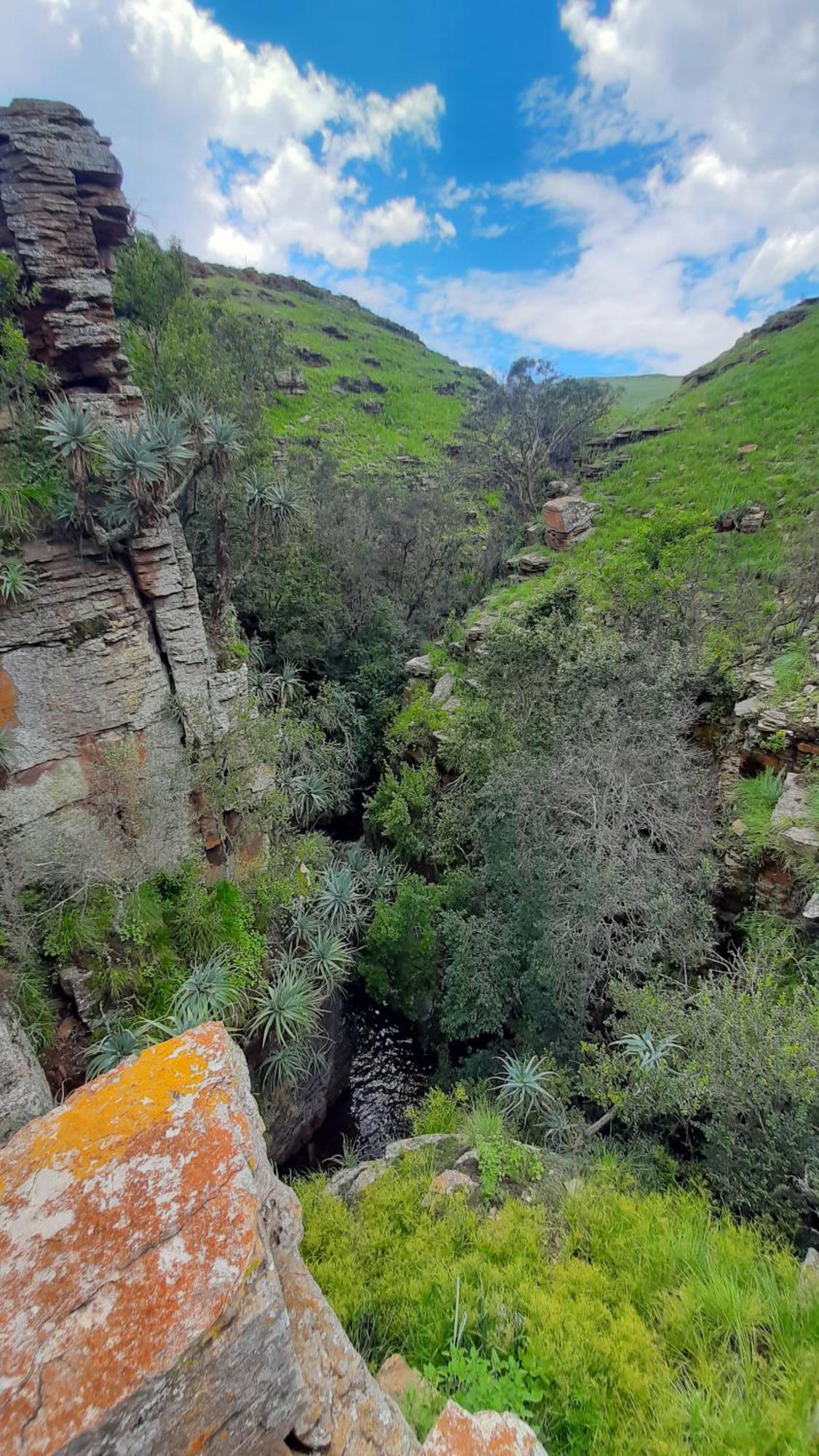 Hotel Schaefers' Halt Dullstroom Esterno foto