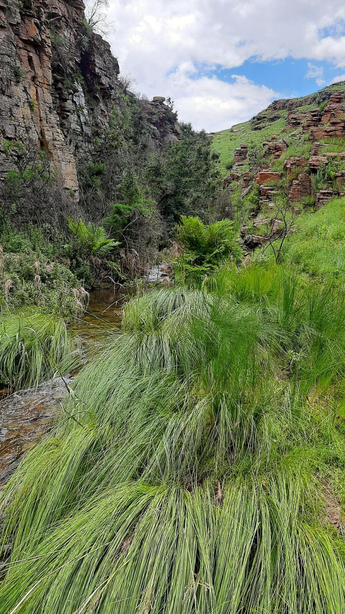 Hotel Schaefers' Halt Dullstroom Esterno foto