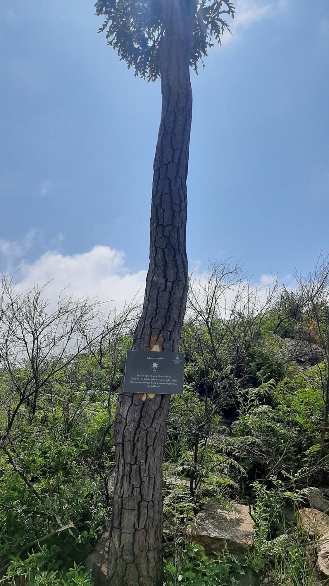 Hotel Schaefers' Halt Dullstroom Esterno foto